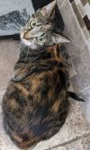Sally photo 3