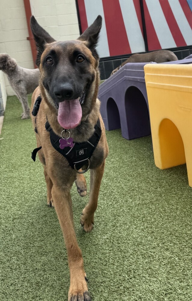 Juno - located in GA