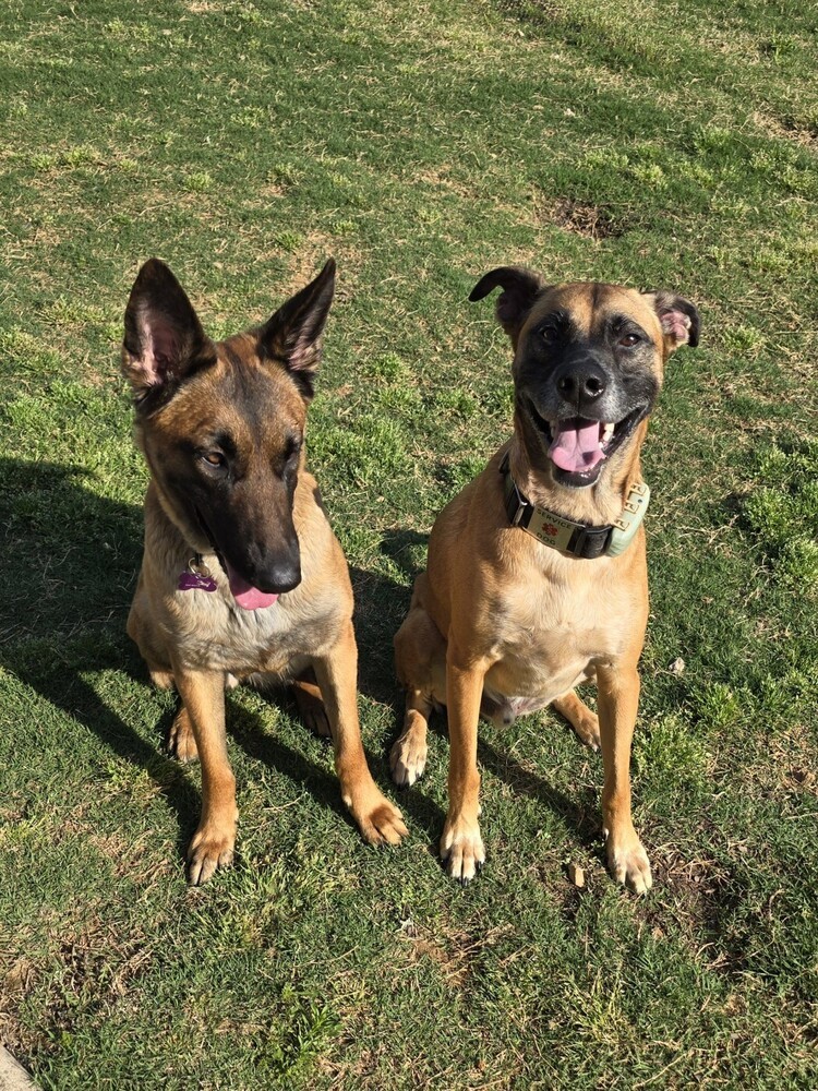 Juno - located in GA