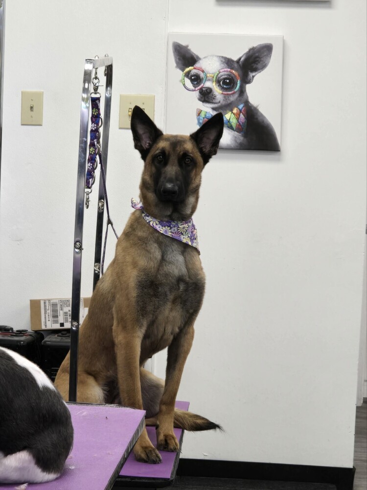 Juno - located in GA