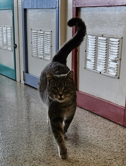 Theodore