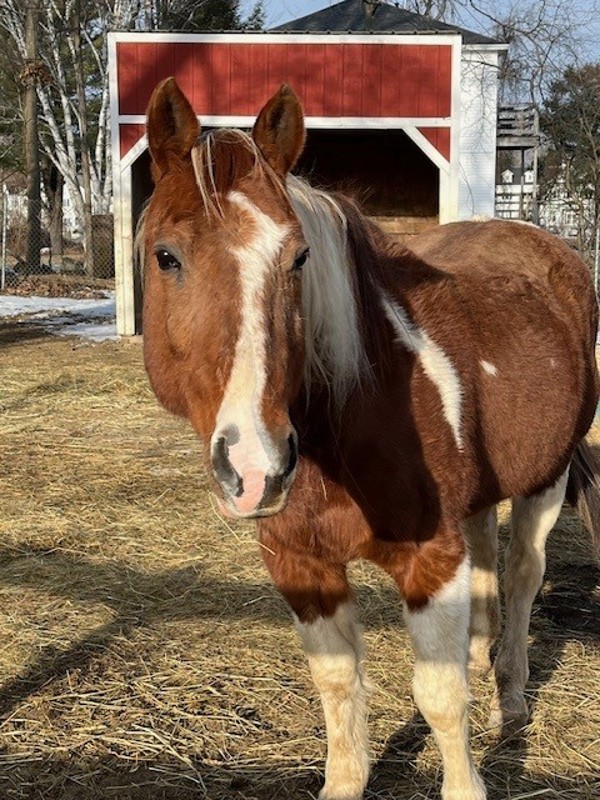 Rosie