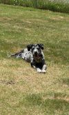 Maggie the Marvel photo 3