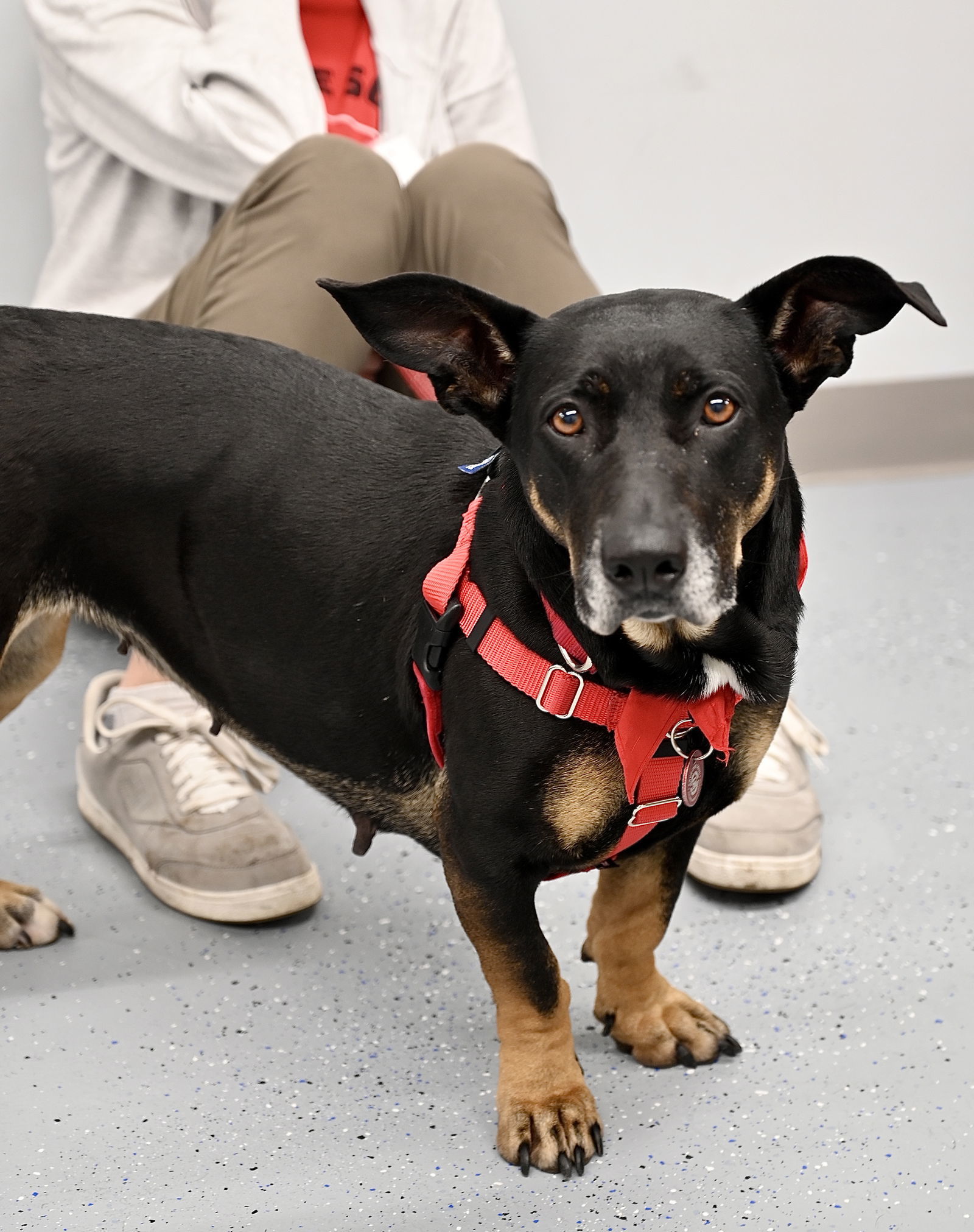 Molly Dee *LOCAL* MEET ME!