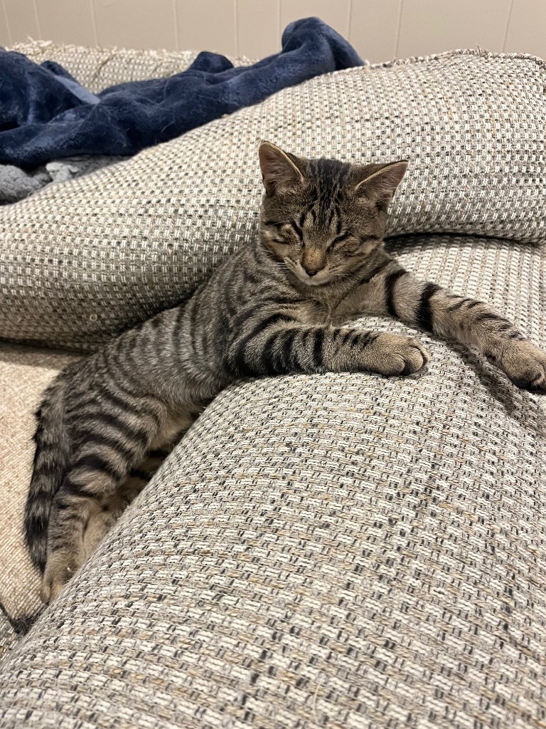 Andy