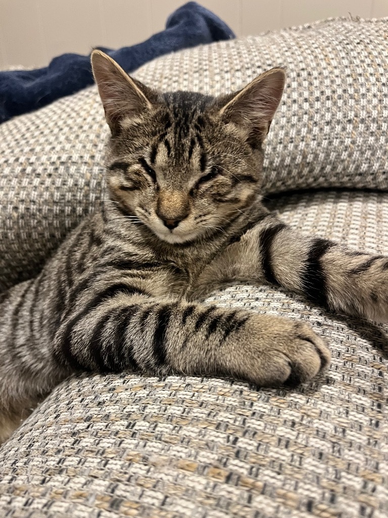 Andy