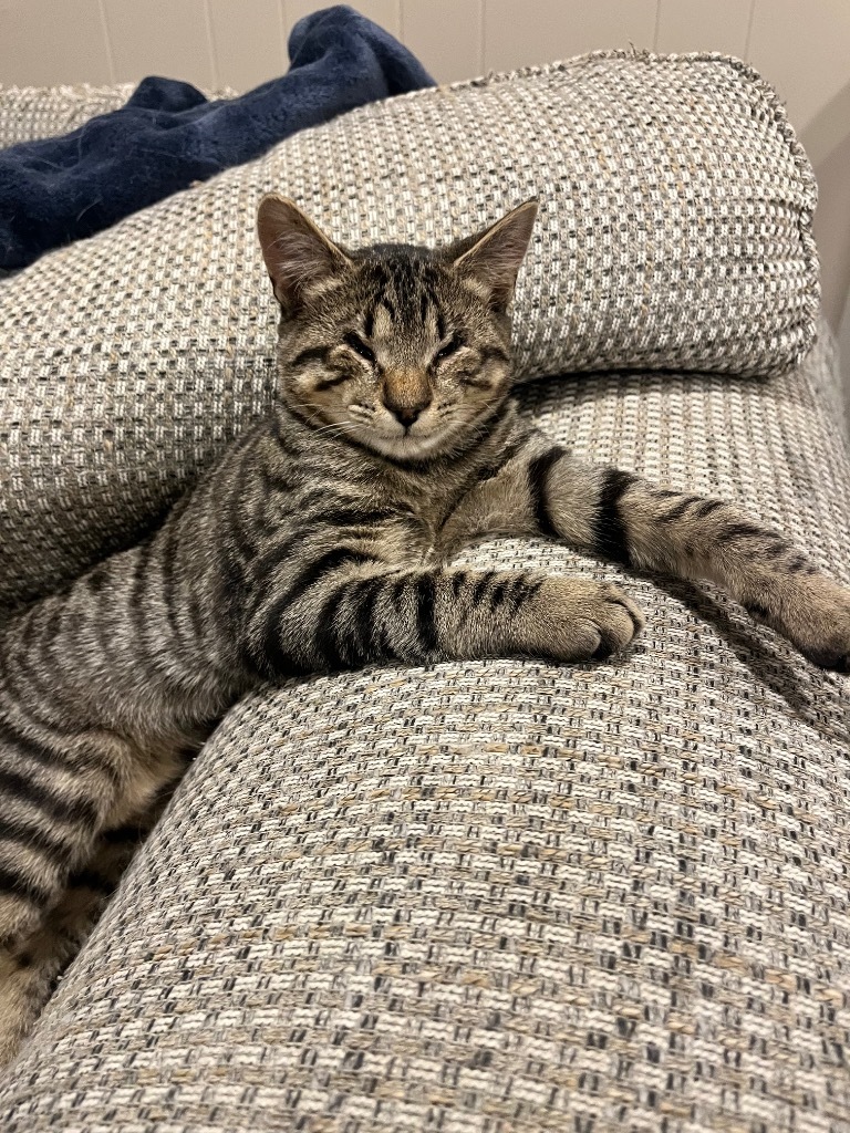 Andy