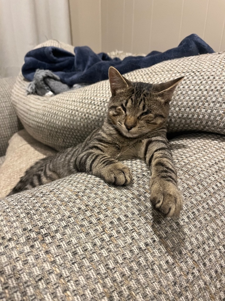 Andy