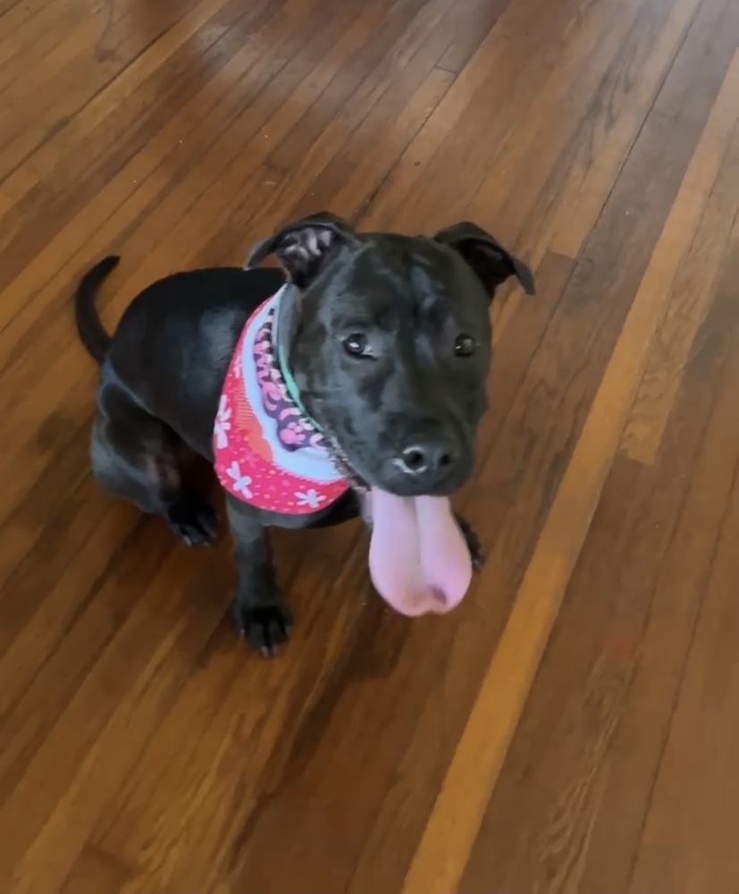 Sasha aka Sushi