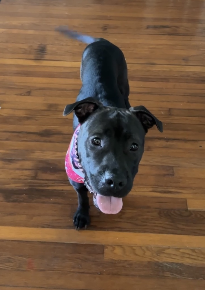 Sasha aka Sushi