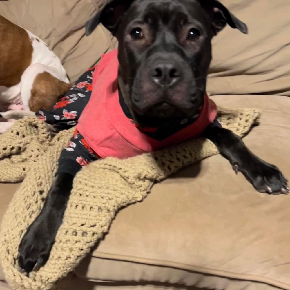 Sasha aka Sushi