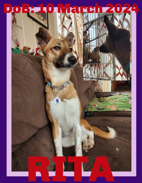 RITA