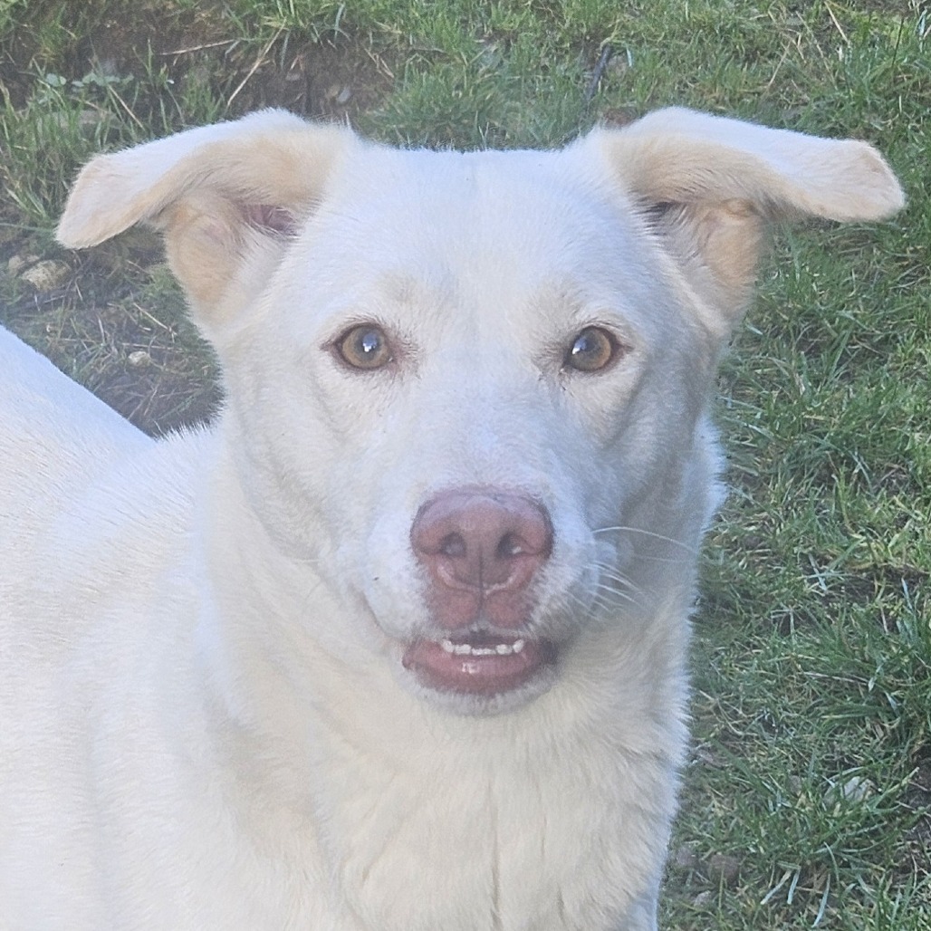 Luna