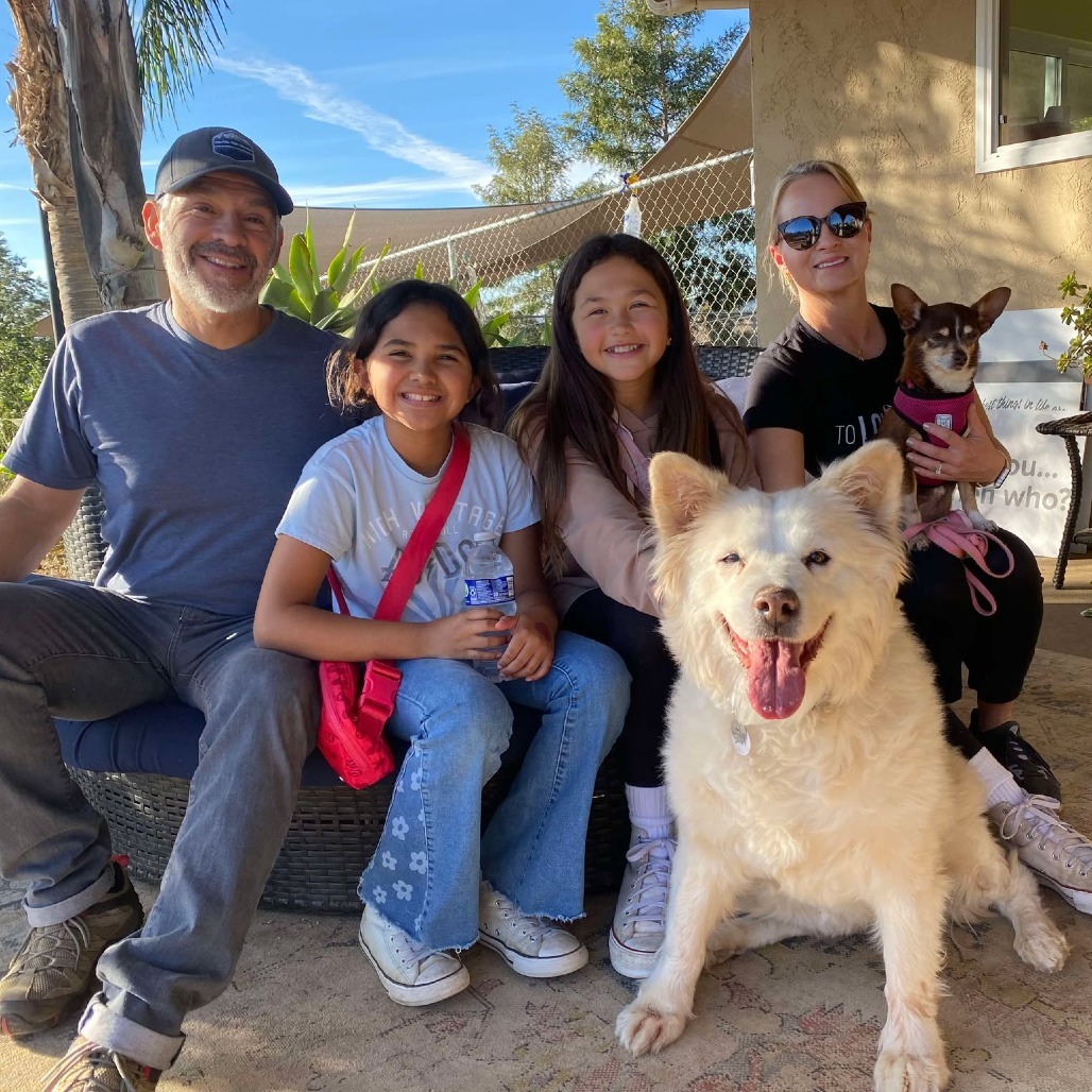 Suki, an adoptable Samoyed in Ramona, CA, 92065 | Photo Image 6