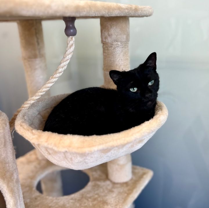 Delilah 5
