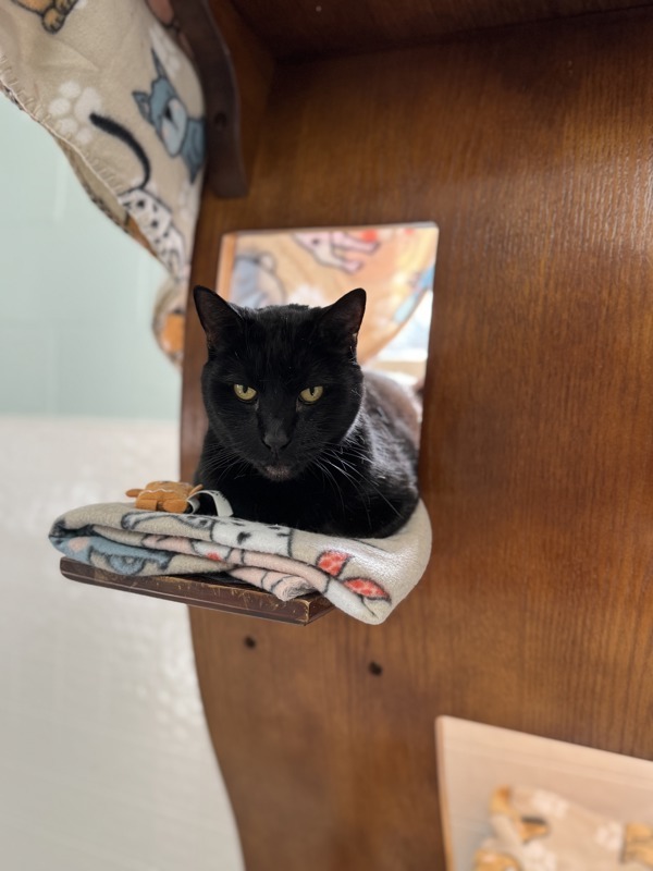Sirius