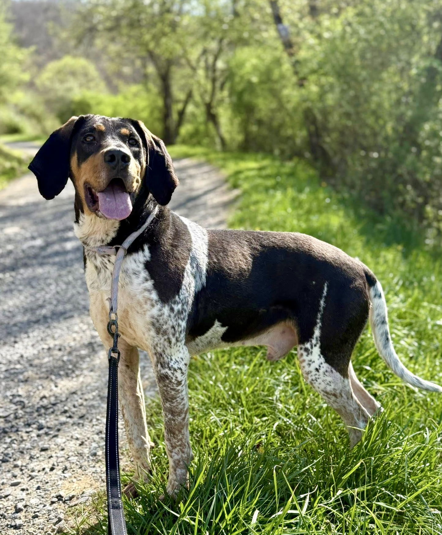Sawyer