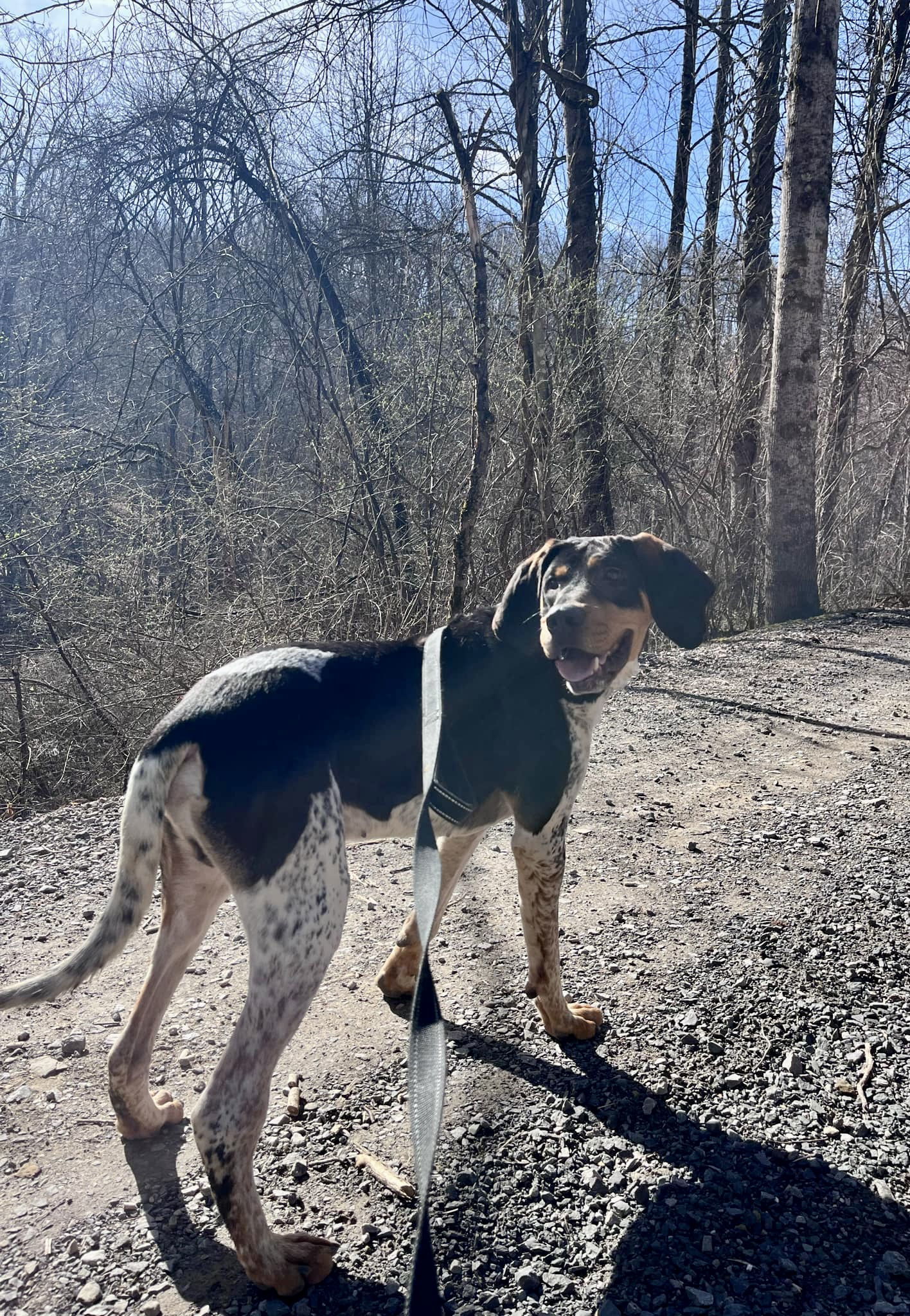 Sawyer