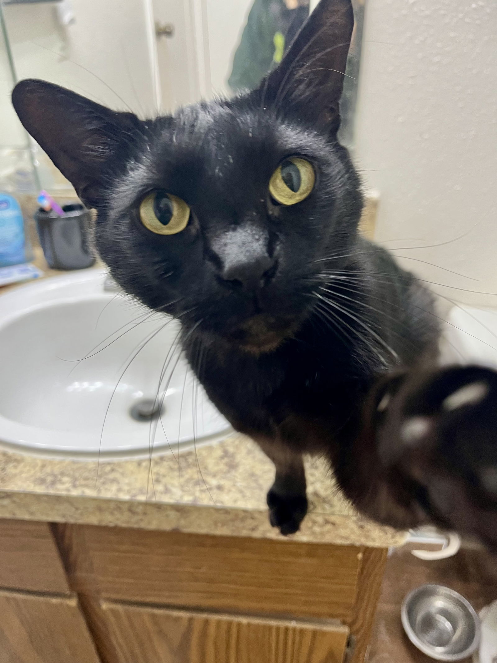Peppercorn