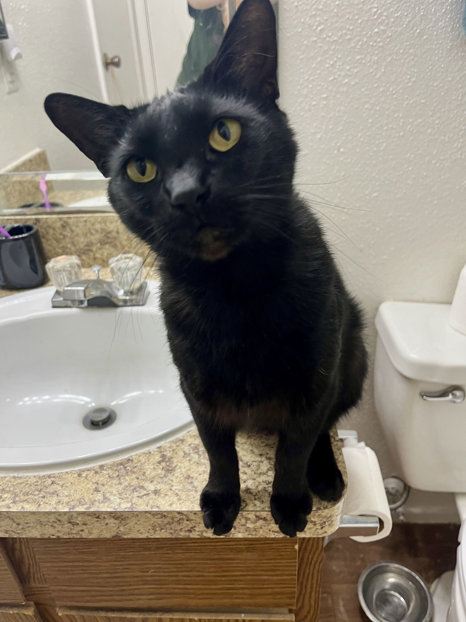Peppercorn