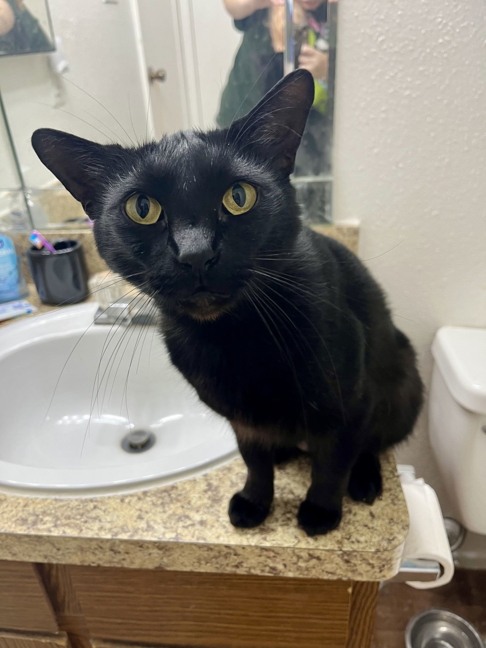 Peppercorn