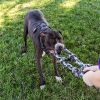 Opie photo 5