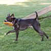 Opie photo 6