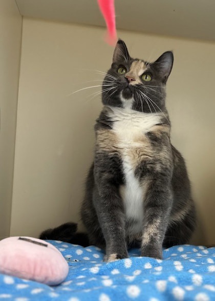 Delilah