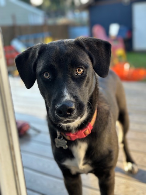 Annie