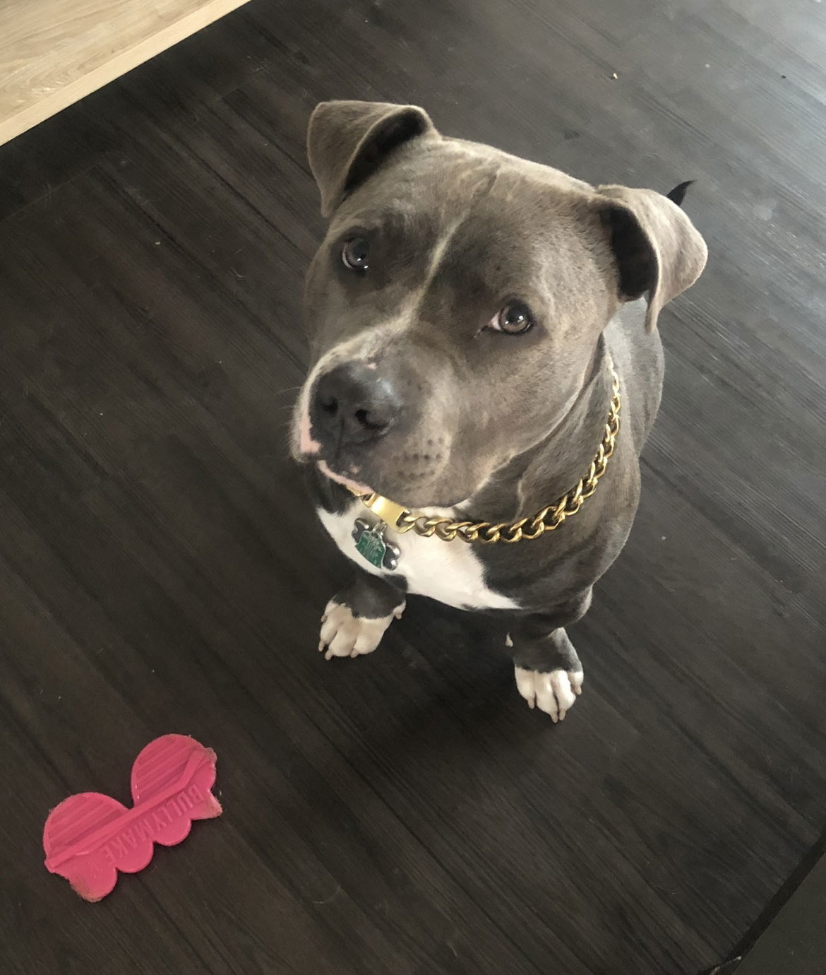 Achilles