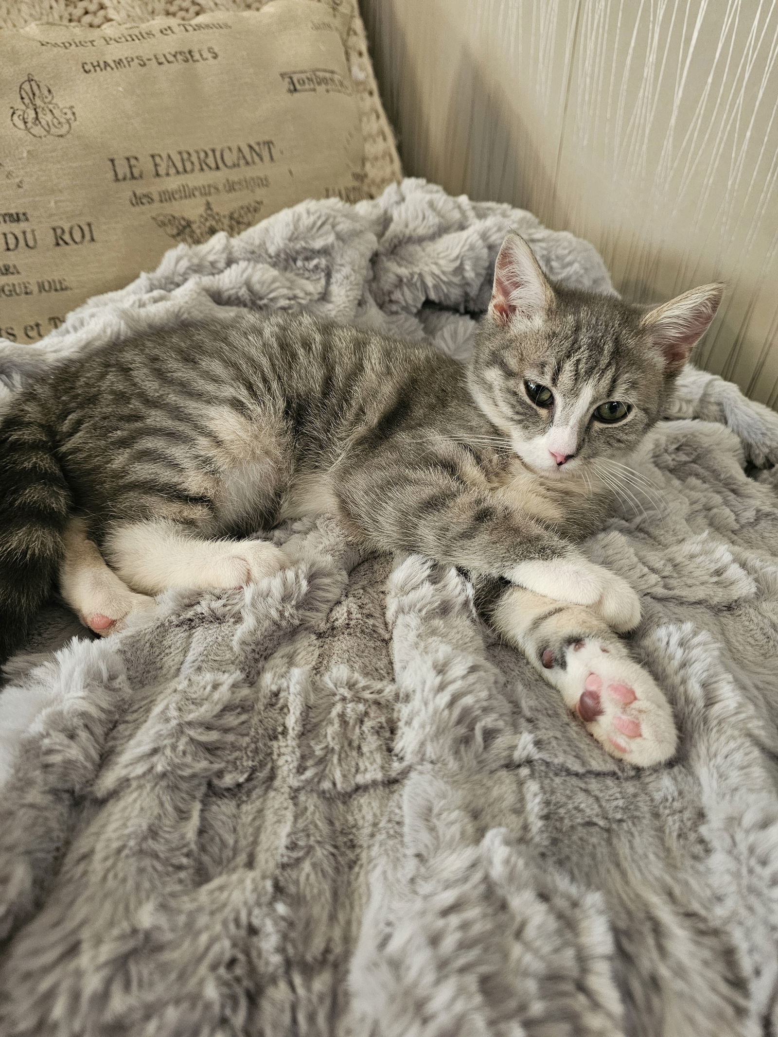 Missy
