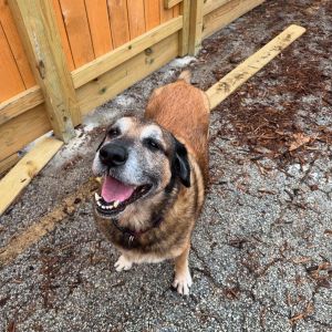 Meet SweetPea His name embodies his soul the sweetest boy there ever was Unfortunately his mom d