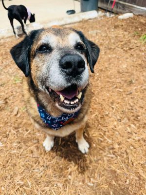 Meet SweetPea His name embodies his soul the sweetest boy there ever was Unfortunately his mom d