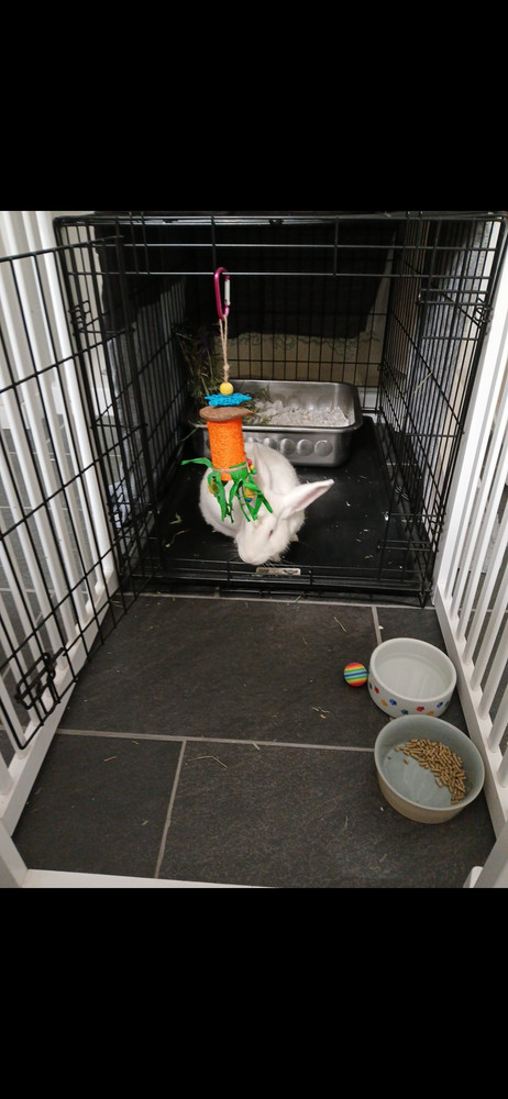 Buster Bunny