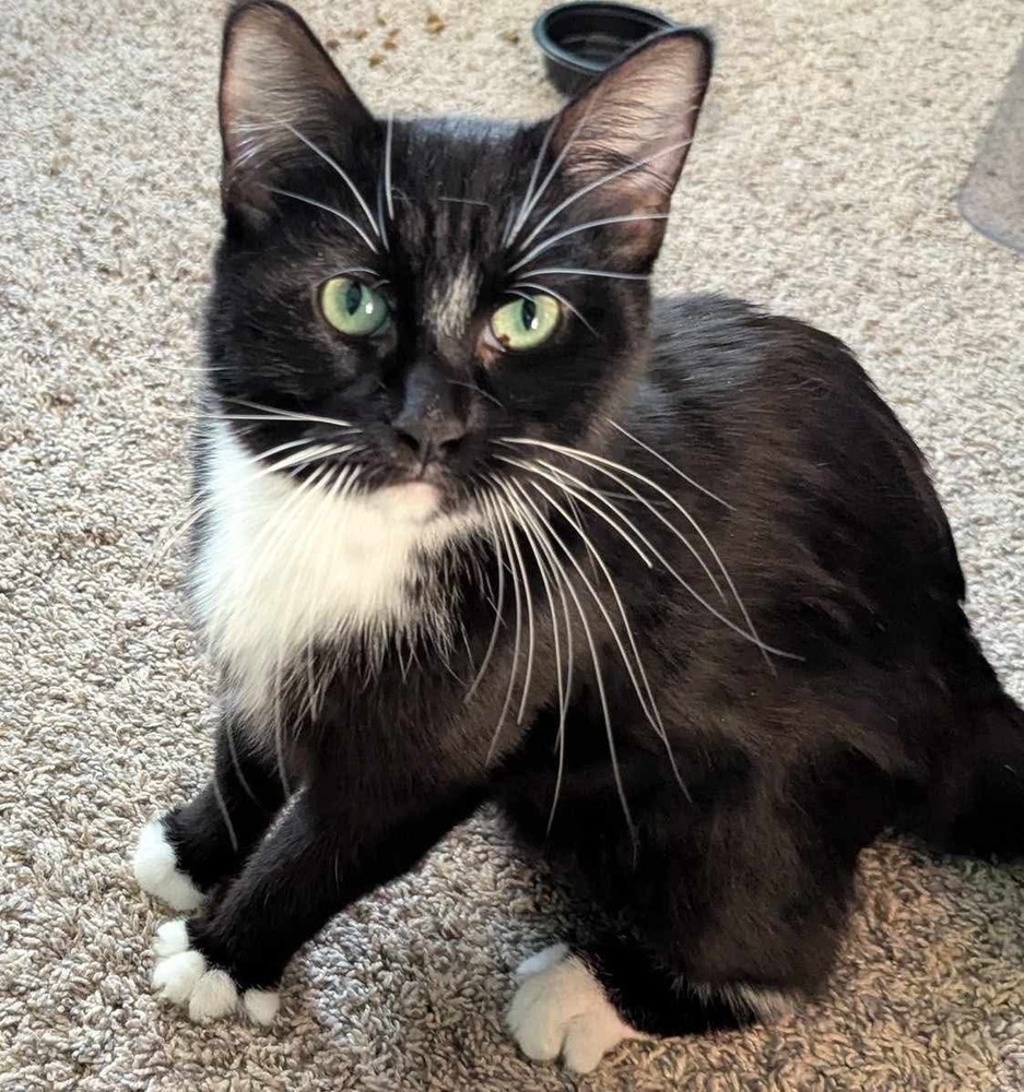 Sammy