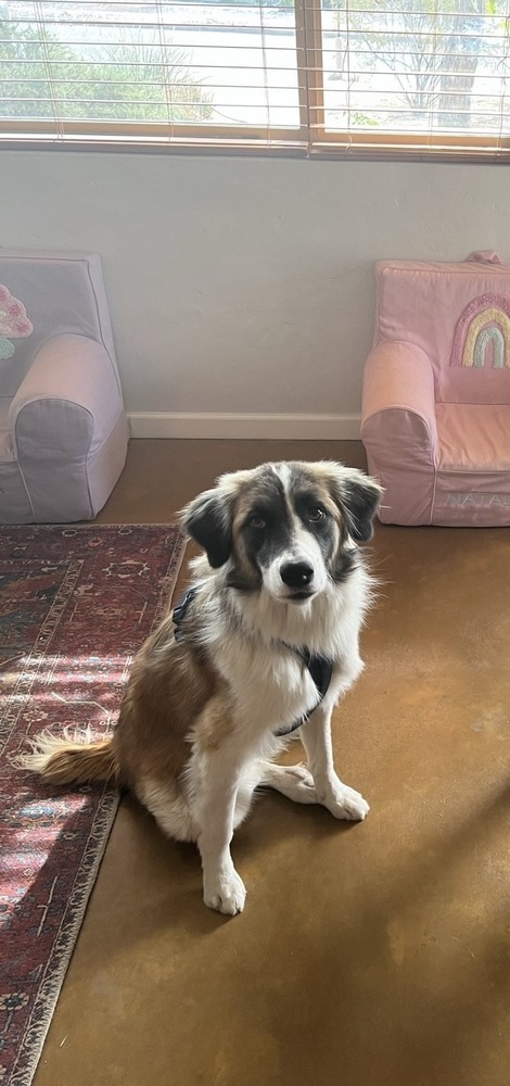 Bailey