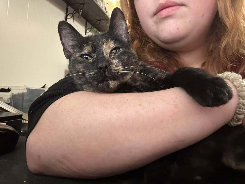 Sabrina