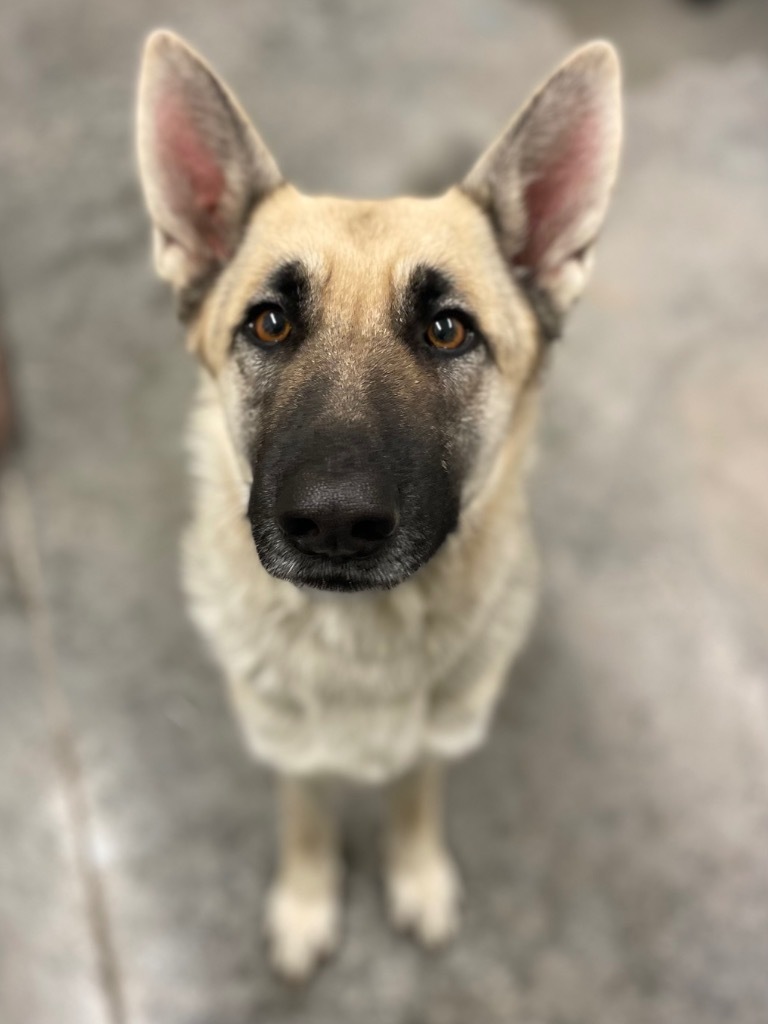 Micah