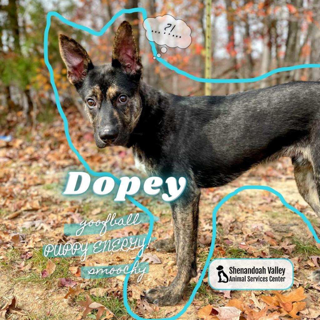 Dopey