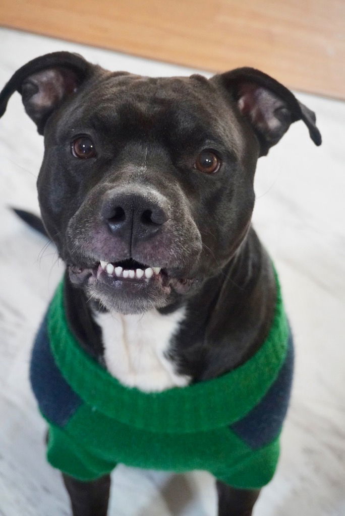 Astro