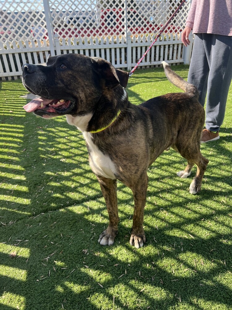 Zeus