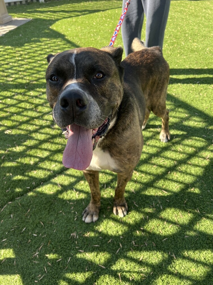 Zeus