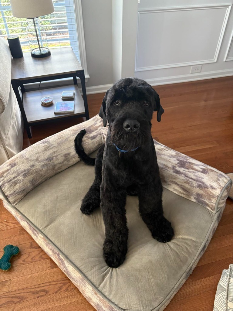Samson