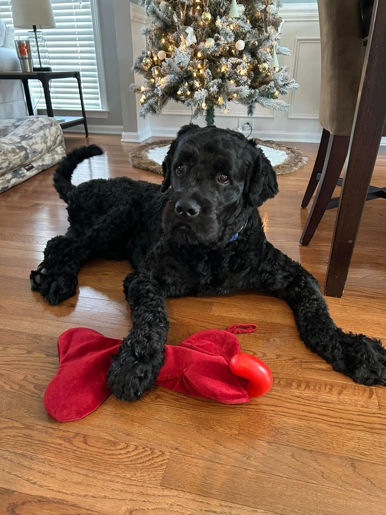 Samson