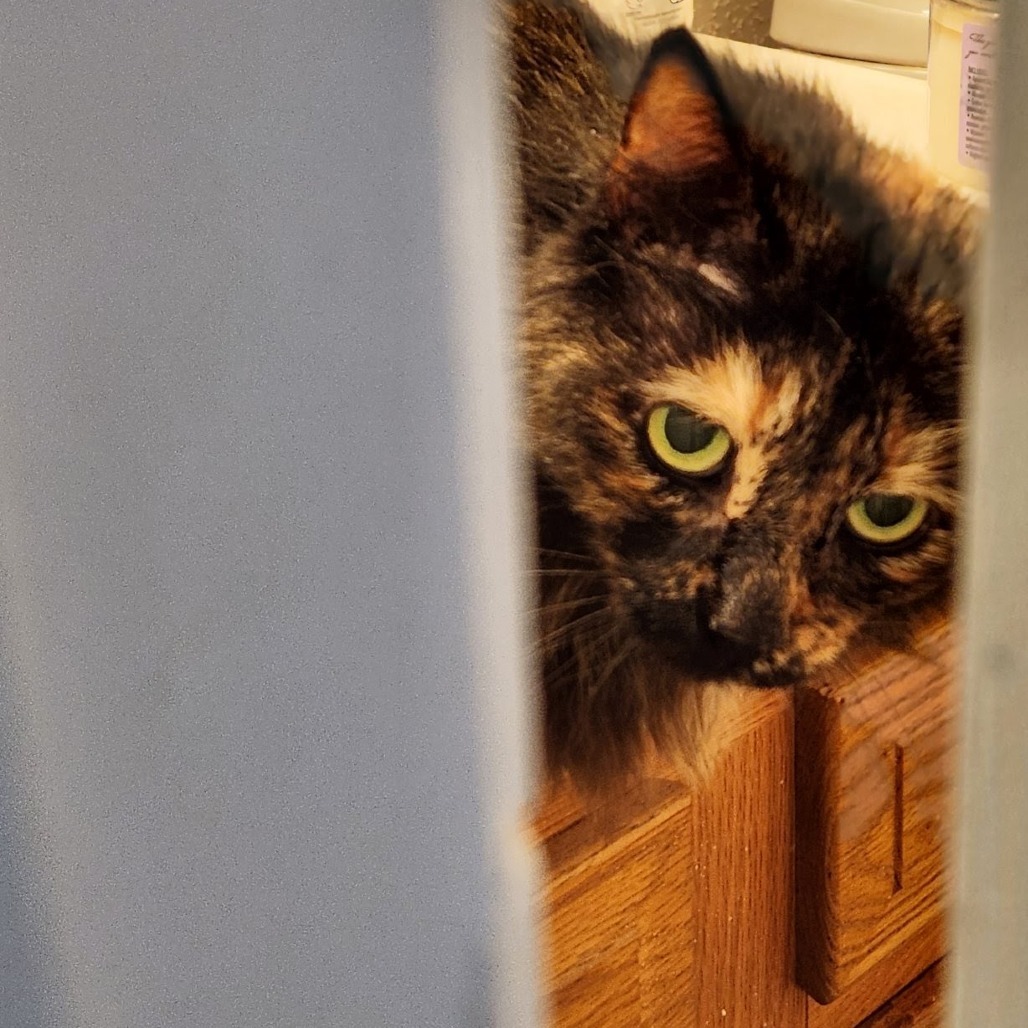 Lola