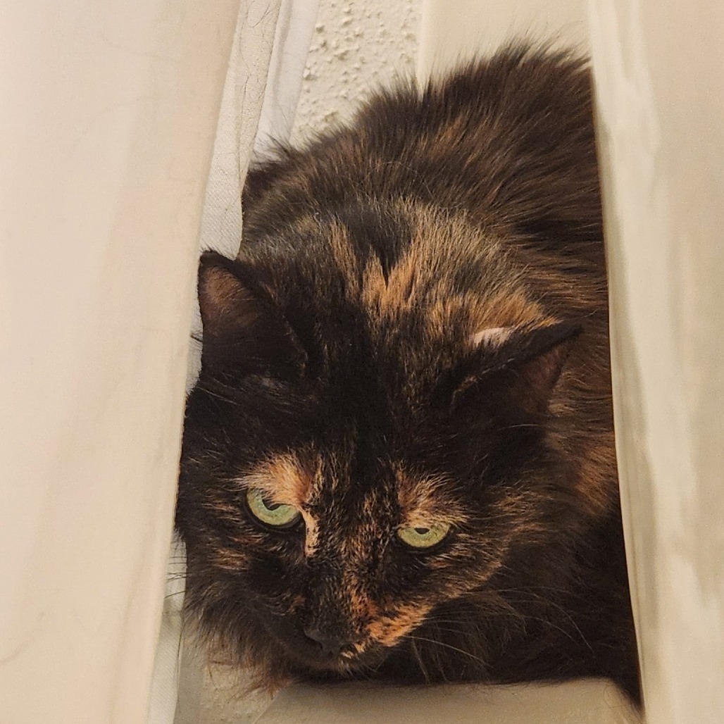 Lola