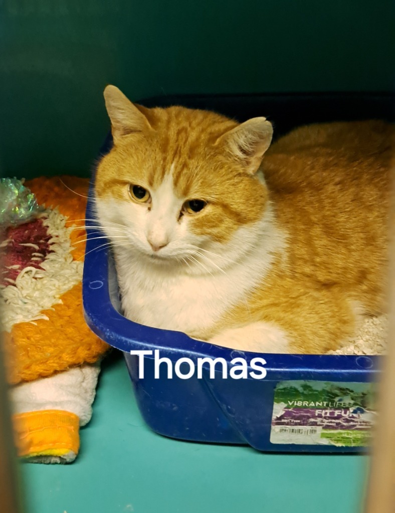 Thomas