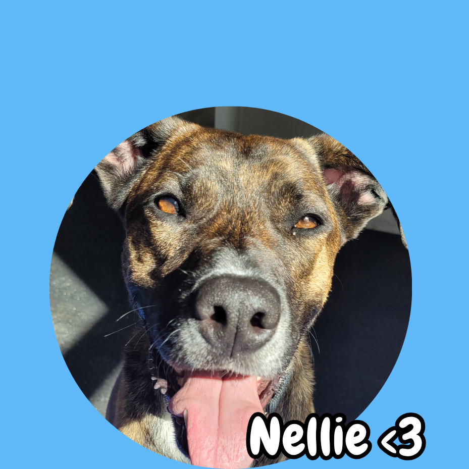 Nellie