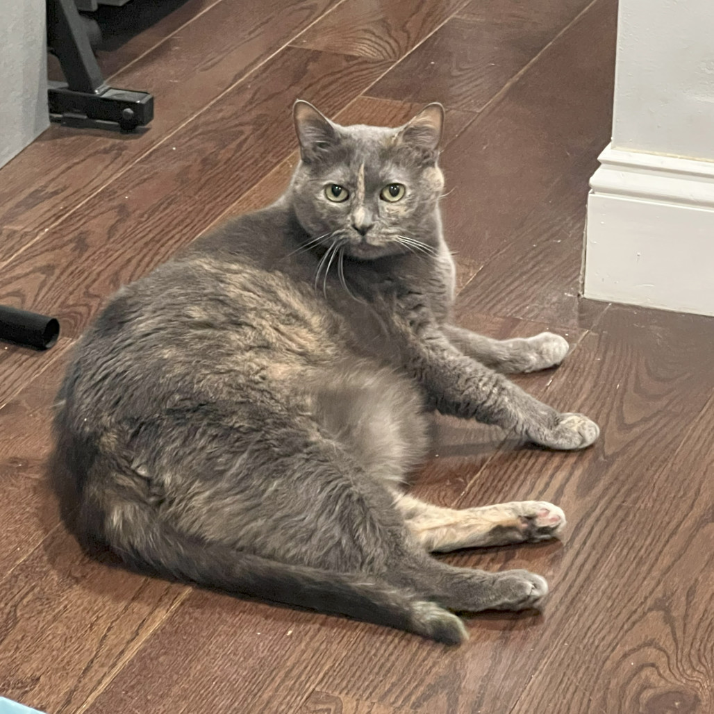 Chloe