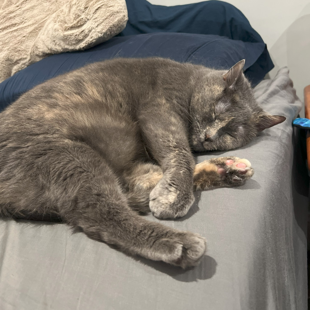 Chloe